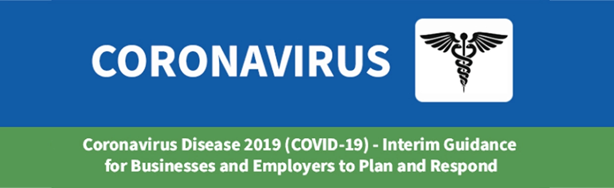 Elan-Covid-19-Interim-Guidance-for-Businesses&Employers-to-Plan-&-Respond-image