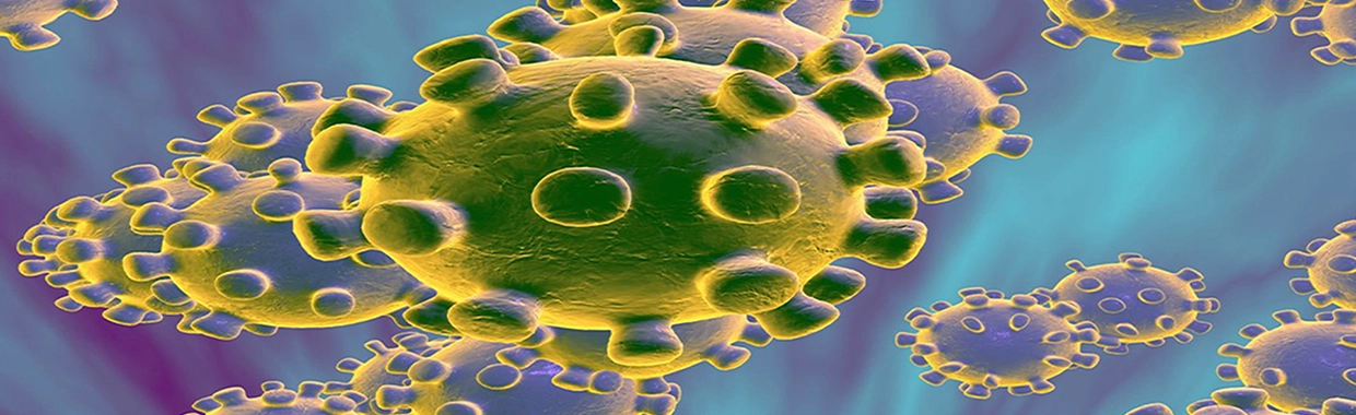 Elan-corona-virus-image