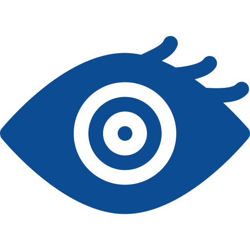 Vision